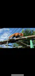 天王寺動物園に投稿された画像（2026/9/23）