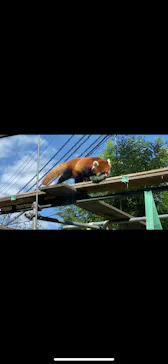 天王寺動物園に投稿された画像（2026/9/23）