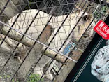 東武動物公園に投稿された画像（2026/9/23）