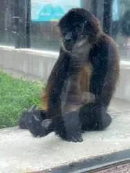 東武動物公園に投稿された画像（2026/9/23）