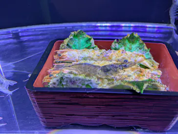 幼魚水族館に投稿された画像（2026/9/23）