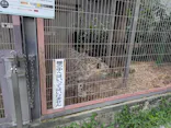 名古屋市東山動植物園に投稿された画像（2026/9/23）