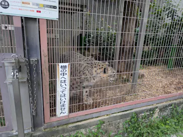 名古屋市東山動植物園に投稿された画像（2026/9/23）