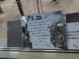 名古屋市東山動植物園に投稿された画像（2026/9/23）