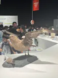 大南極展に投稿された画像（2026/9/23）