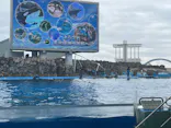 名古屋港水族館に投稿された画像（2026/9/23）