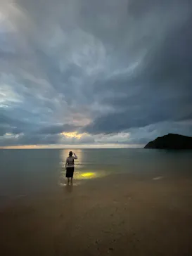 オリオン石垣島エコツアーに投稿された画像（2026/9/23）