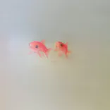 深堀隆介展―『金魚の唄』（きんぎょのうた）―山田憲司・北川啓介との共創に投稿された画像（2026/9/23）