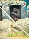 天王寺動物園に投稿された画像（2026/9/23）