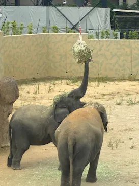 天王寺動物園に投稿された画像（2026/9/23）