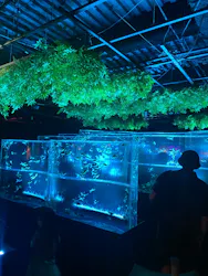 アートアクアリウム美術館 GINZAに投稿された画像（2026/9/23）
