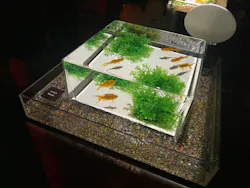 アートアクアリウム美術館 GINZAに投稿された画像（2026/9/23）