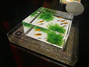 アートアクアリウム美術館 GINZAに投稿された画像（2026/9/23）