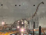 福井県立恐竜博物館に投稿された画像（2026/9/23）