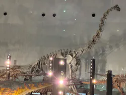 福井県立恐竜博物館に投稿された画像（2026/9/23）