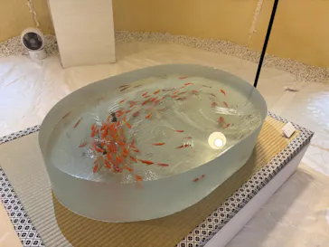 深堀隆介展―『金魚の唄』（きんぎょのうた）―山田憲司・北川啓介との共創に投稿された画像（2026/9/23）