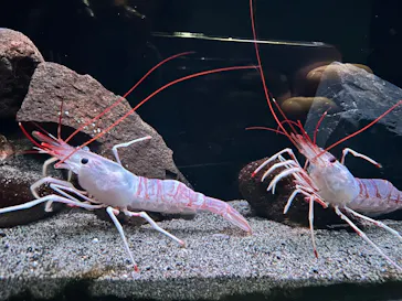 環境水族館アクアマリンふくしまに投稿された画像（2026/9/23）
