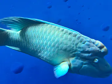 環境水族館アクアマリンふくしまに投稿された画像（2026/9/23）