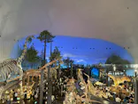 福井県立恐竜博物館に投稿された画像（2026/9/23）