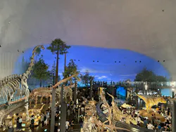 福井県立恐竜博物館に投稿された画像（2026/9/23）