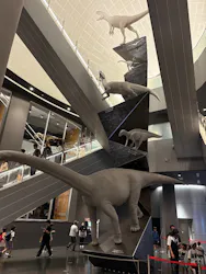 福井県立恐竜博物館に投稿された画像（2026/9/23）