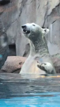 天王寺動物園に投稿された画像（2026/9/23）