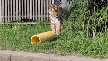 天王寺動物園に投稿された画像（2026/9/23）