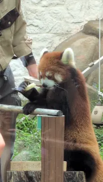天王寺動物園に投稿された画像（2026/9/23）