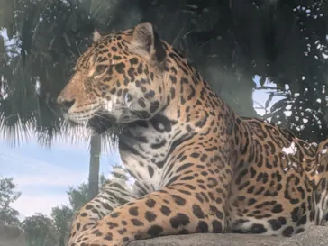 天王寺動物園に投稿された画像（2026/9/23）