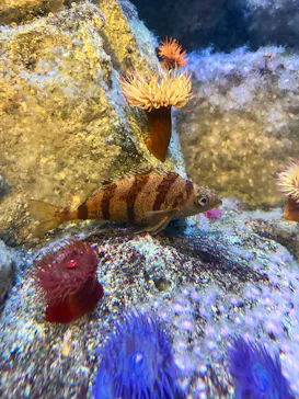 葛西臨海水族園に投稿された画像（2026/9/23）