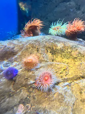 葛西臨海水族園に投稿された画像（2026/9/23）