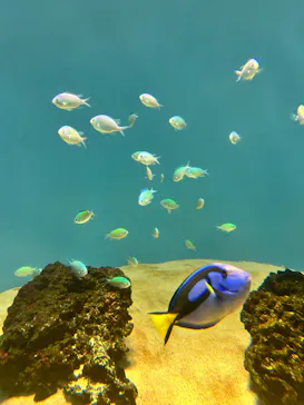 葛西臨海水族園に投稿された画像（2026/9/23）