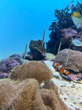 葛西臨海水族園に投稿された画像（2026/9/23）