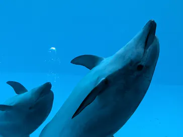 名古屋港水族館に投稿された画像（2026/9/23）