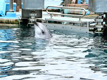 名古屋港水族館に投稿された画像（2026/9/23）