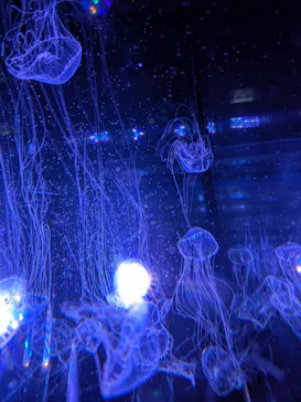 名古屋港水族館に投稿された画像（2026/9/23）