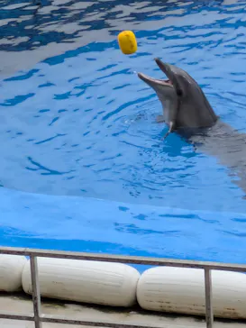 仙台うみの杜水族館に投稿された画像（2026/9/23）