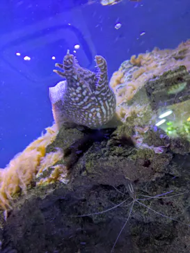 仙台うみの杜水族館に投稿された画像（2026/9/23）
