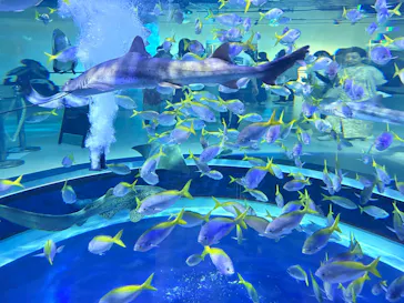 AQUARIUM × ART　atoaに投稿された画像（2026/9/23）