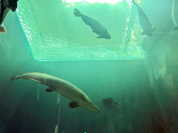 AQUARIUM × ART　atoaに投稿された画像（2026/9/23）