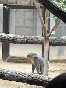 名古屋市東山動植物園に投稿された画像（2026/9/23）