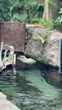 栃木県なかがわ水遊園に投稿された画像（2026/9/23）