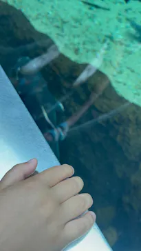 栃木県なかがわ水遊園に投稿された画像（2026/9/23）