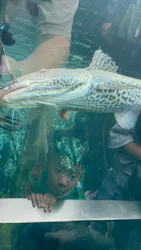 栃木県なかがわ水遊園に投稿された画像（2026/9/23）