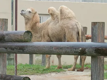 東武動物公園に投稿された画像（2026/9/23）