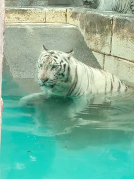 東武動物公園に投稿された画像（2026/9/23）