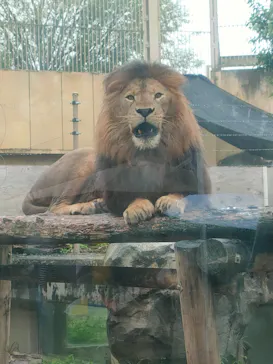 東武動物公園に投稿された画像（2026/9/23）