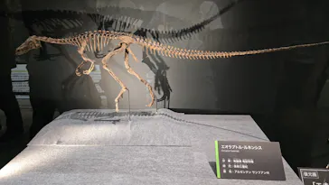 福井県立恐竜博物館に投稿された画像（2026/9/23）