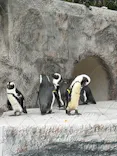 恩賜上野動物園に投稿された画像（2026/9/23）