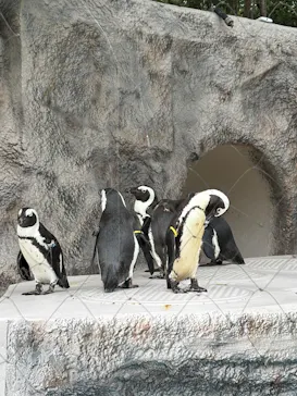 恩賜上野動物園に投稿された画像（2026/9/23）